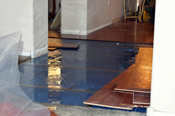 Professional Basement Flood Cleanup technician working in Meddybemps, ME